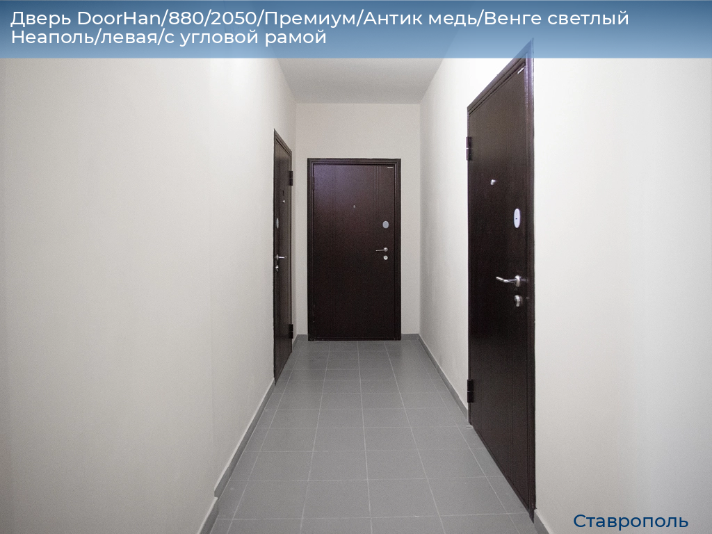 Дверь DoorHan/880/2050/Премиум/Антик медь/Венге светлый Неаполь/левая/с угловой рамой, stavropol.doorhan.ru