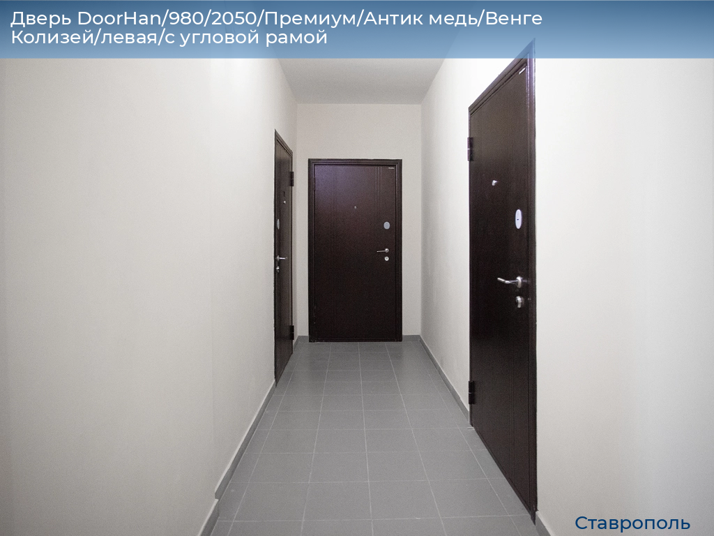 Дверь DoorHan/980/2050/Премиум/Антик медь/Венге Колизей/левая/с угловой рамой, stavropol.doorhan.ru