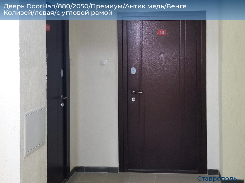 Дверь DoorHan/880/2050/Премиум/Антик медь/Венге Колизей/левая/с угловой рамой, stavropol.doorhan.ru