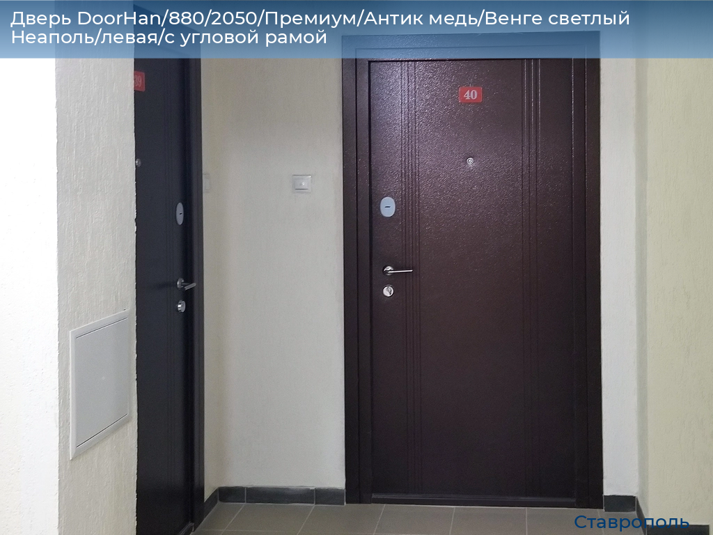 Дверь DoorHan/880/2050/Премиум/Антик медь/Венге светлый Неаполь/левая/с угловой рамой, stavropol.doorhan.ru