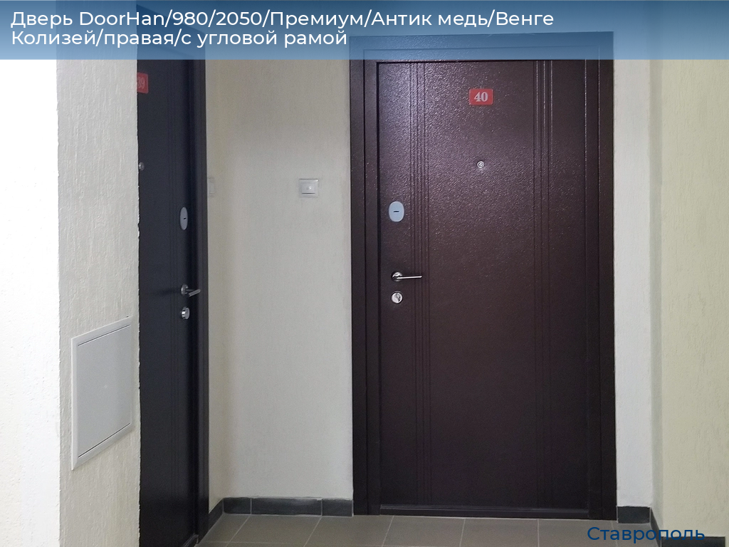 Дверь DoorHan/980/2050/Премиум/Антик медь/Венге Колизей/правая/с угловой рамой, stavropol.doorhan.ru
