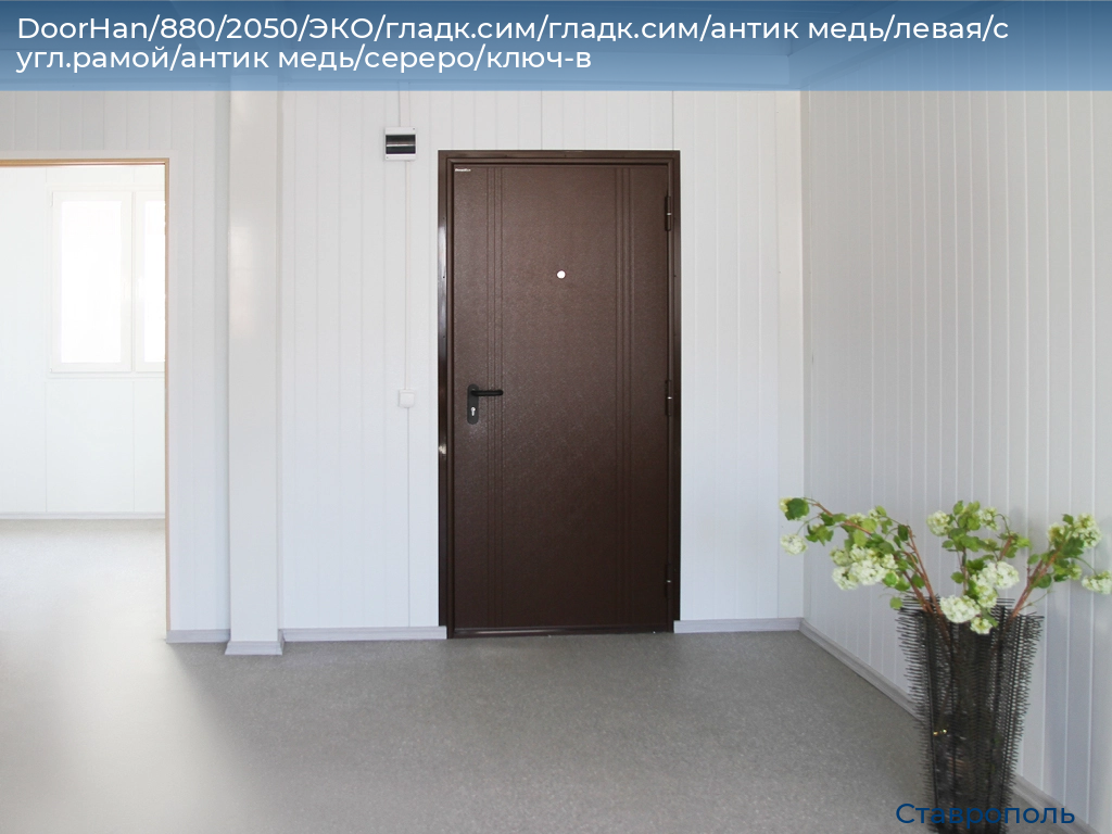 DoorHan/880/2050/ЭКО/гладк.сим/гладк.сим/антик медь/левая/с угл.рамой/антик медь/сереро/ключ-в, stavropol.doorhan.ru